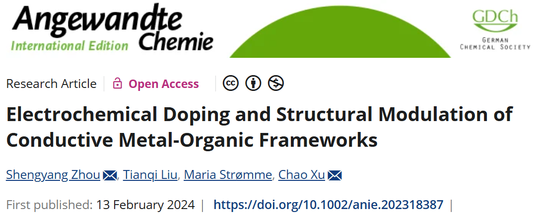 Angewandte Chemie paper